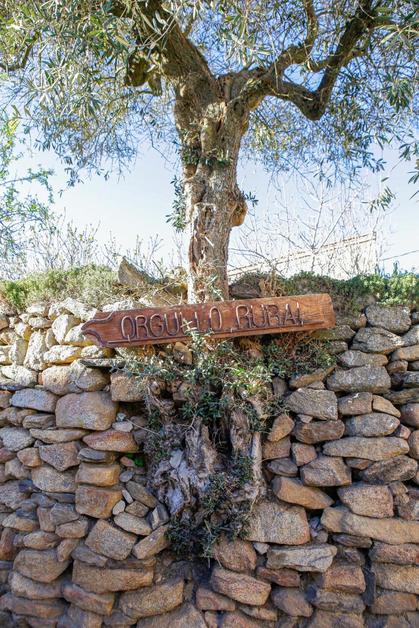 Casa Rural Therma Agreste Bermellar Exteriör bild
